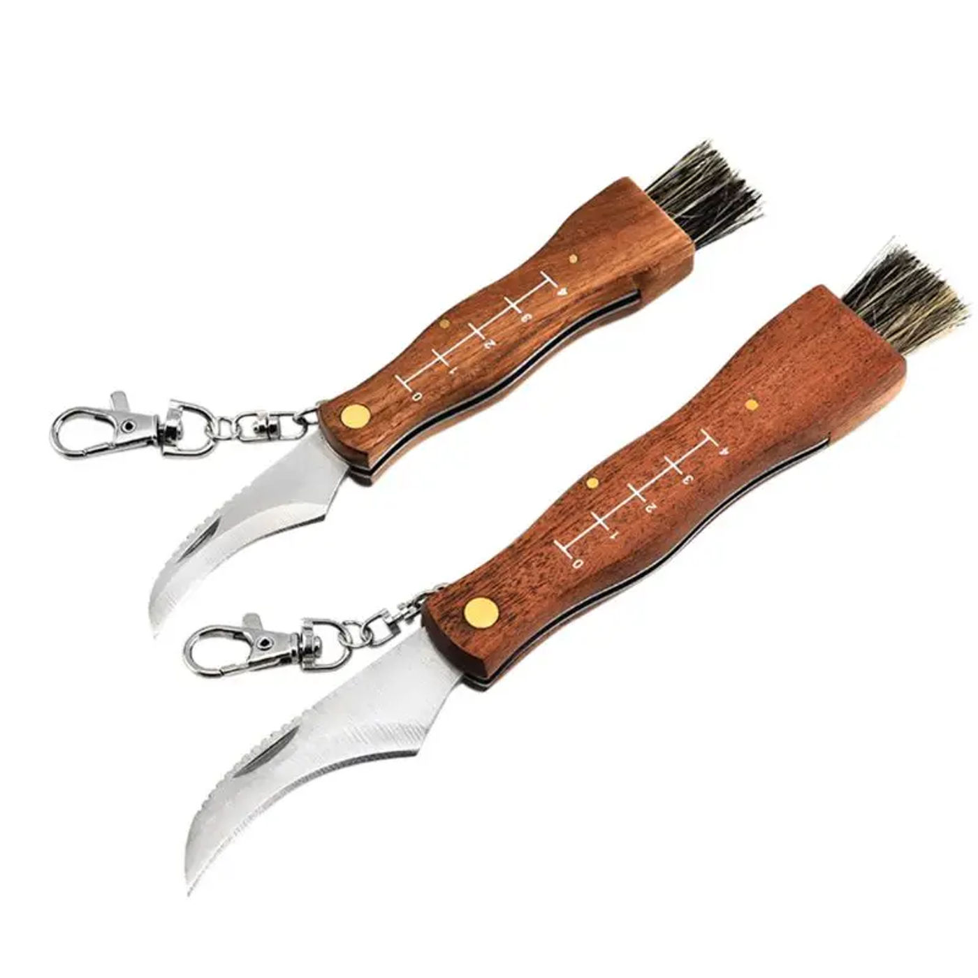 Description Picture 3 of itemMini Camping Mushroom Knife Rosewood Handle Outdoor Hunting Survival Multifunction Folding Self-defense Hand Tools