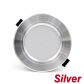 Silver Body
