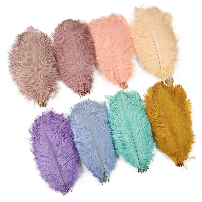 Description Picture 4 of itemWholesale 10Pcs/Lot New Colorful Ostrich Feathers White Black Feather Decor Plumes Vases Party Wedding Accessories Decoration