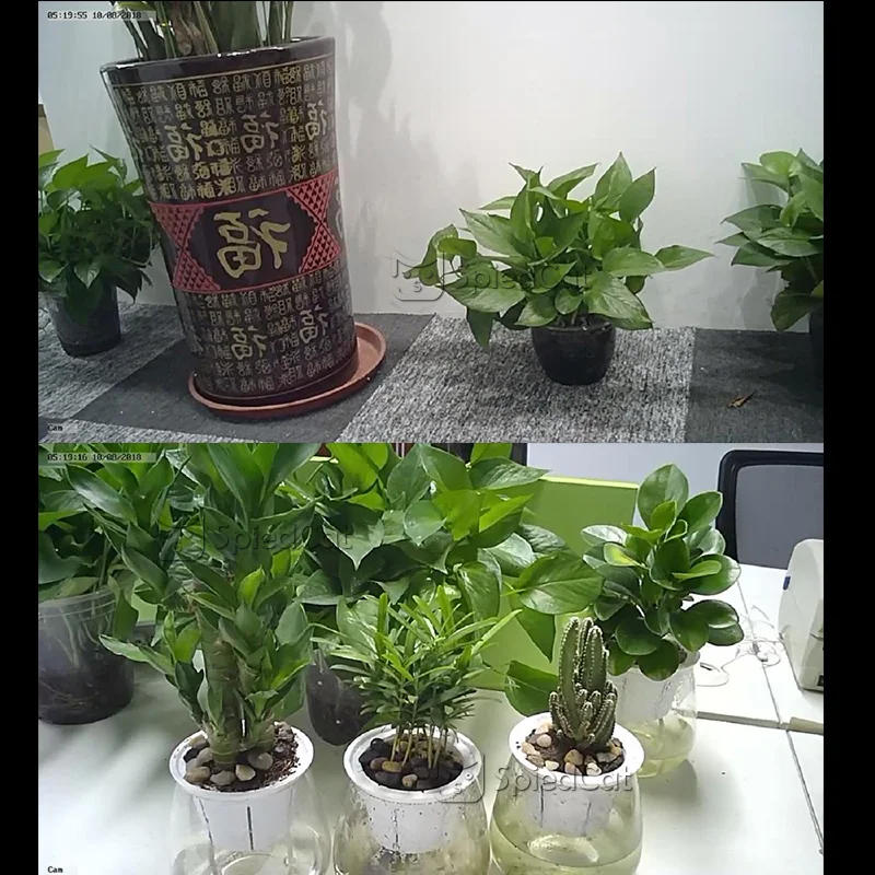 Description Picture 2 of item1080P Full HD Mini WIFI Flexible Camera Video Audio Recorder Motion Detection tiny Camcorder IP P2P Micro Cam with Spare lens