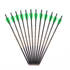 13 inch Pure Carbon Arrow with 1.7 inch TPU Vane Halfmoon Nock Archery Archery for  Hunting