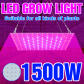 1000W 81leds