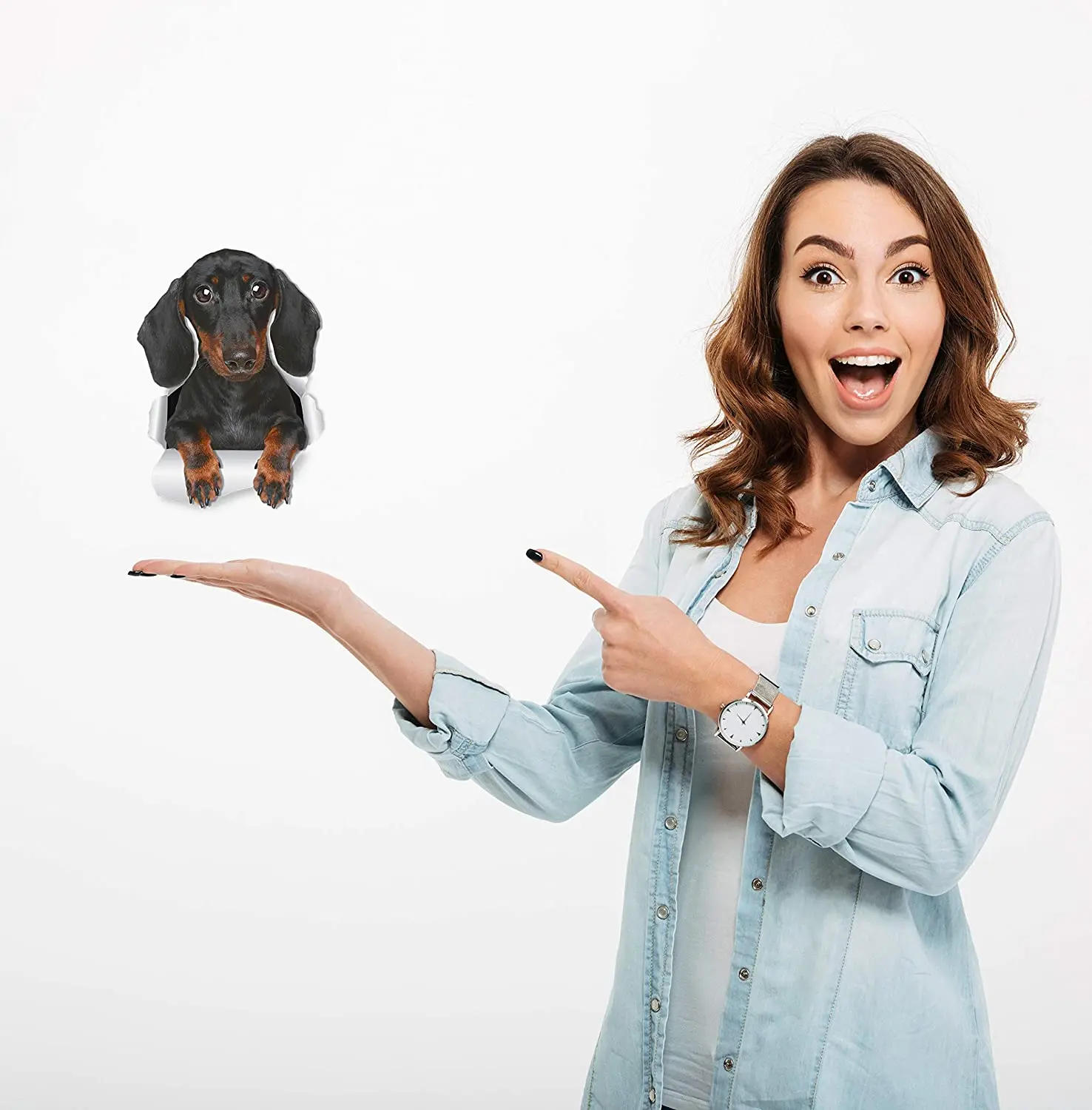 Description Picture 5 of itemThree Ratels 1071 3D Three Ratels 3D Cute Dachshund Sausage Sticker Dog Decals For Walls Cars Toilet Luggage Skateboard Laptop