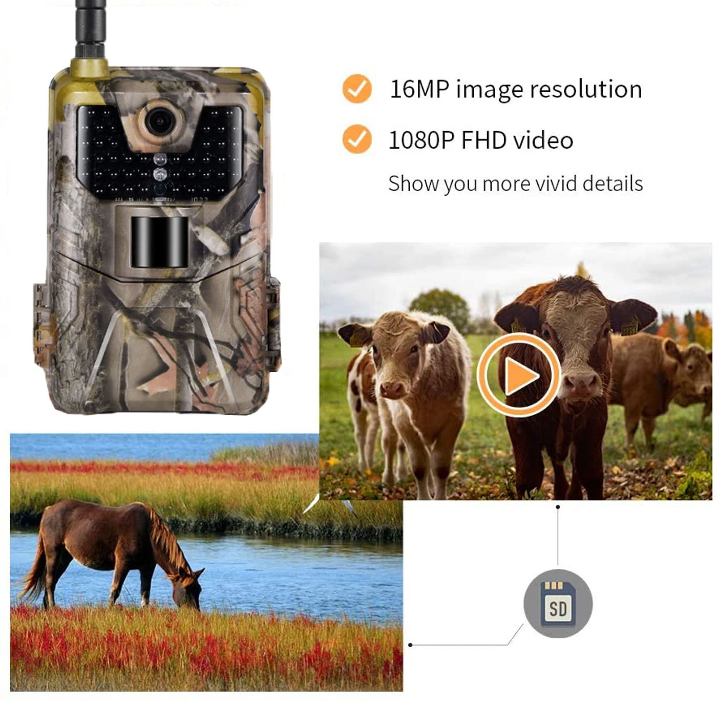 Description Picture 6 of item20MP 1080P Wildlife SMS MMS SMTP Trail Camera Photo Traps Night Vision 2G  Hunting Cameras HC900M Surveillance Metal Case