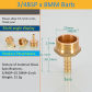 3l4 BSP 8mm Barb M