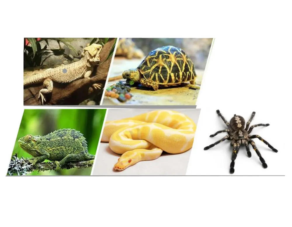 Description Picture 5 of item35w 50w 70w  reptile  plant grow uvb bulb