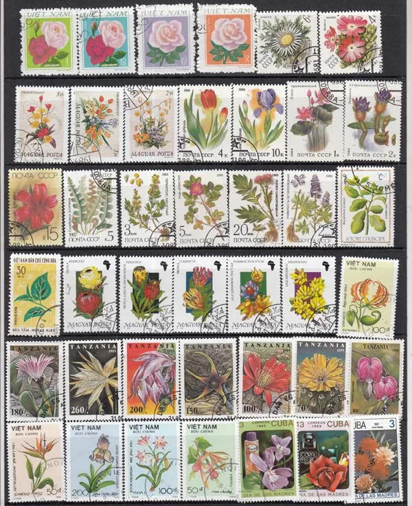 Description Picture 4 of item50Pcs/Set Flowers All Different From Many Countries NO Repeat  With Postmark Postage Stamps for Collecting