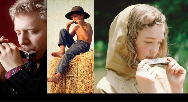 Description Picture 3 of itemHot Selling Swan Harmonica Diatonic10 Hole Blues Harp Woodwind Music Instrument  Mouth Organ For Rock Country Folk Jazz Melodica