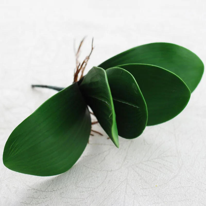 Description Picture 5 of item1Pcs real touch phalaenopsis leaf artificial plant leaf decorative flowers auxiliary material flower decoration Orchid leaves