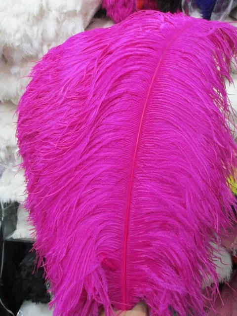 Description Picture 5 of itemWholesale High Quality 20pcs Natural Ostrich Feather 16-18inch/40-45cm Diy Stage Performance Wedding Party Decorative