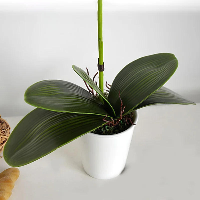 Description Picture 6 of item1Pcs real touch phalaenopsis leaf artificial plant leaf decorative flowers auxiliary material flower decoration Orchid leaves