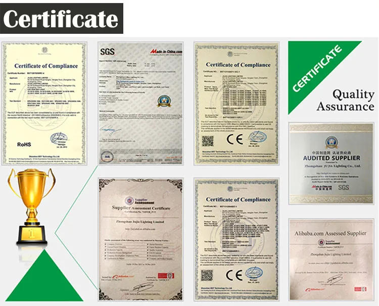 Description Picture 6 of item12V 110V/220v Outdoor LED lawn light with spike Garden path Lights 5W GU10 led spotlight Garden walkway Yard Pathway Lights