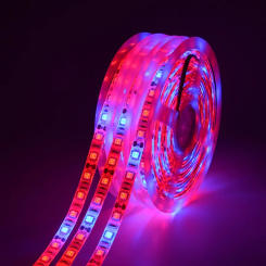 5M Full Spectrum LED Plant Grow Strip Light DC12V Red Blue 5050 SMD Diode Tape For Plants Flowers Vegetable Seeds Seedling Lamp