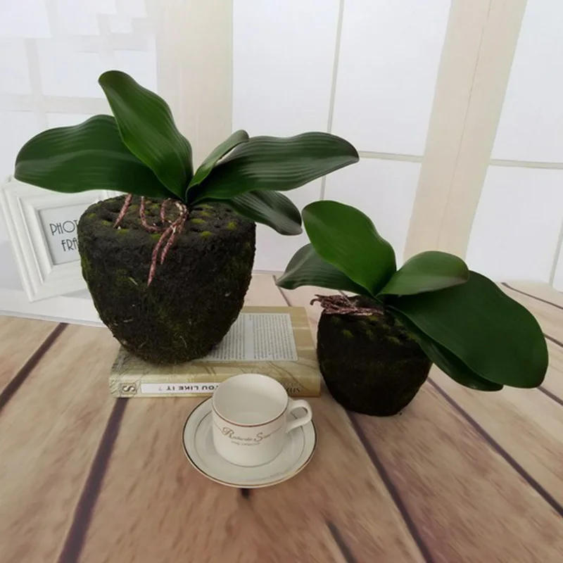 Description Picture 3 of item1Pcs real touch phalaenopsis leaf artificial plant leaf decorative flowers auxiliary material flower decoration Orchid leaves