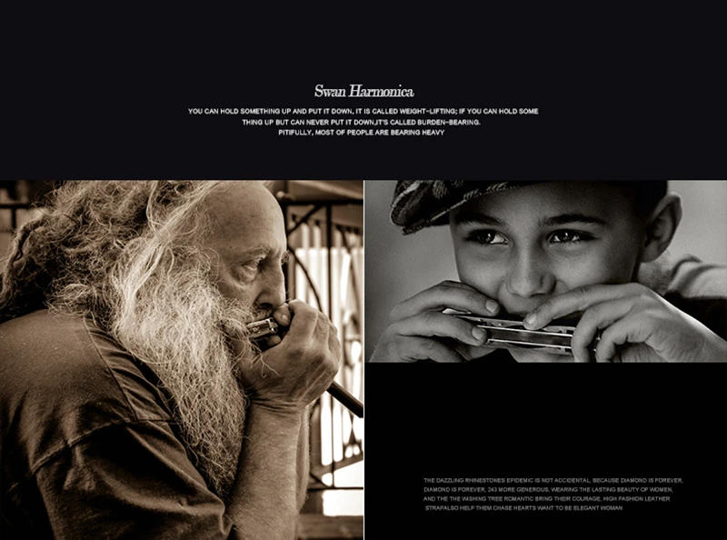 Description Picture 2 of itemHot Selling Swan Harmonica Diatonic10 Hole Blues Harp Woodwind Music Instrument  Mouth Organ For Rock Country Folk Jazz Melodica