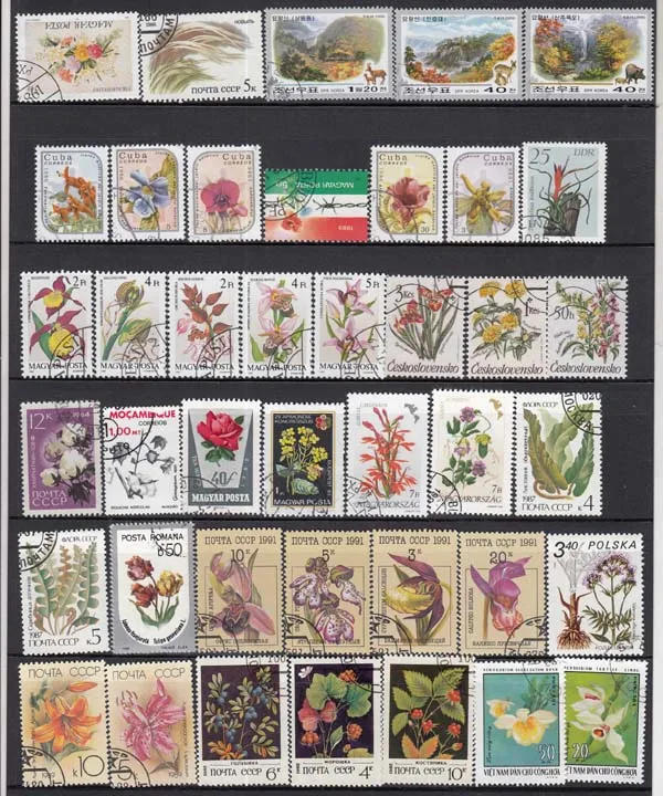 Description Picture 3 of item50Pcs/Set Flowers All Different From Many Countries NO Repeat  With Postmark Postage Stamps for Collecting
