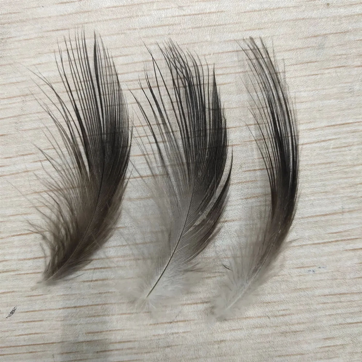 Description Picture 3 of itemBeautiful 10pcs 2-8 inches/5-20 cm Natural Black Heron Silk Feathers Beautiful Feathers Wedding Party Headdress Hats Decoration