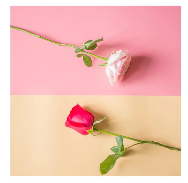 Description Picture 3 of itemMatte PVC Photography Background Board for Shoes Socks Hat Fruits Food Tabletop Shooting Photo Studio Backdrops Paper Waterproof