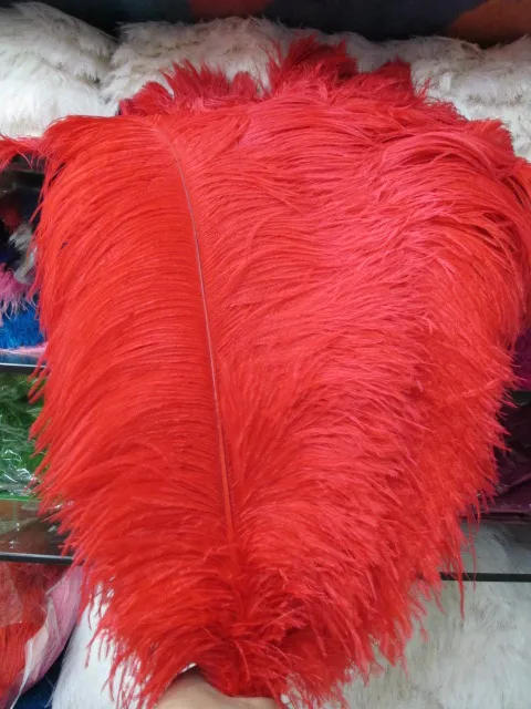 Description Picture 6 of itemWholesale High Quality 20pcs Natural Ostrich Feather 16-18inch/40-45cm Diy Stage Performance Wedding Party Decorative