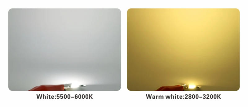 Description Picture 5 of itemLED 3W 5W 7W 9W COB Chip Lamp 220V Smart IC No Need Driver LED Bulb for Flood Light Spotlight Diy Lighting Cold white Warm white