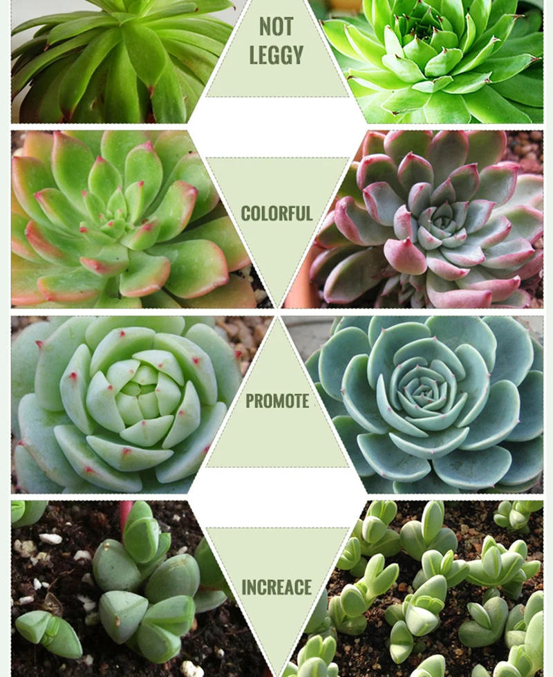 Description Picture 4 of item220V LED Growing Lamp Bulb 18LEDs 28LEDs Full Spectrum E27 E14 GU10 Growth Lights Fitolampy Phyto Lamps For Plants Hydroponics