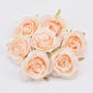 Champagne peach