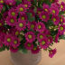 Slide image 6d2ac9606aec43bfa6356578c797aac3