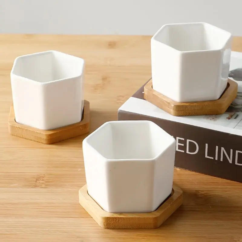 Description Picture 6 of itemGeometic White Ceramic Square Bonsai Planter Little Succulent Flower Pots Modern Small Cactus Flowerpot Bamboo Tray