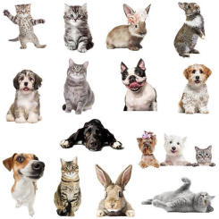 Cartoon cute cats, dogs and rabbits wall stickers, living room bedroom wall decorations, art murals, bathroom glass door decals