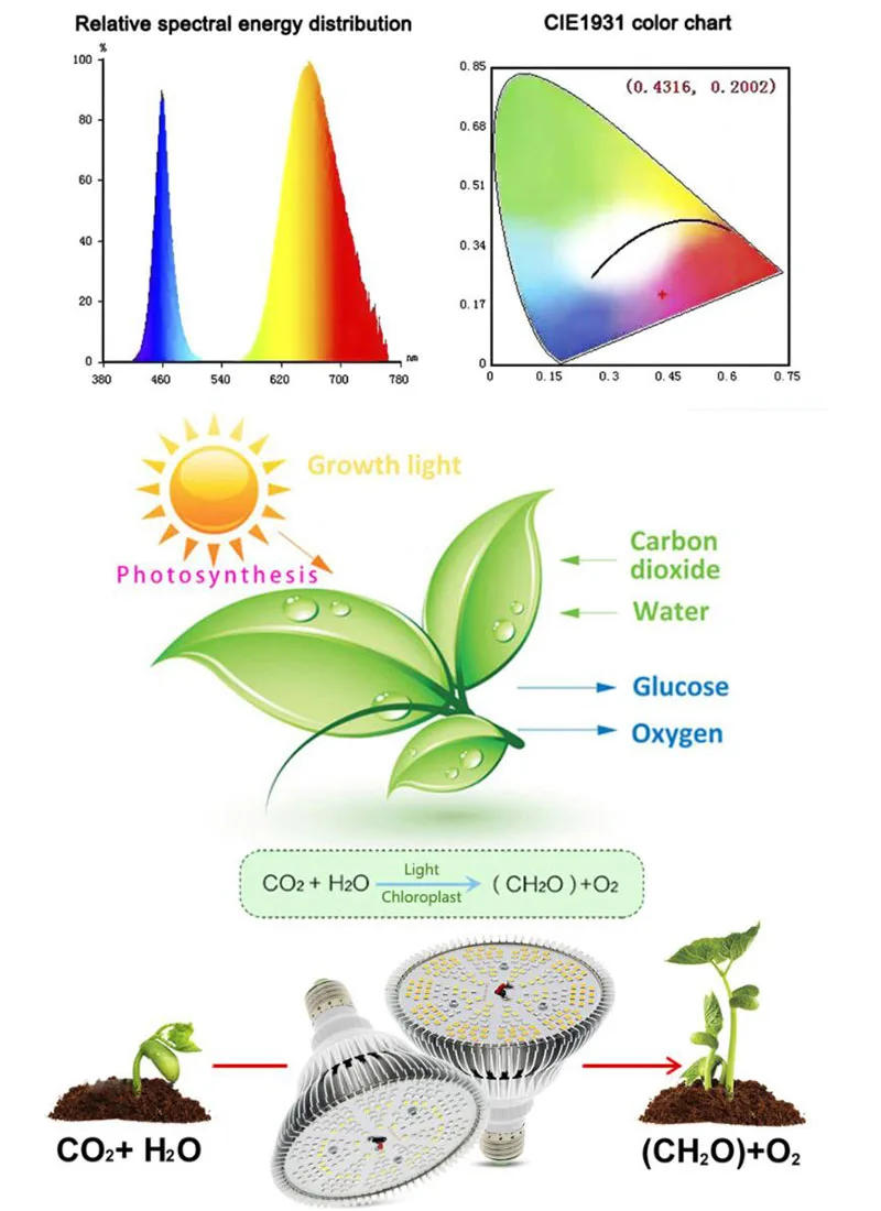 Description Picture 4 of item300W LED Grow Light Bulb Phytolamps Seedling Plant sunlight Full Spectrum indoor growth Lighting for greenhouse box Veg