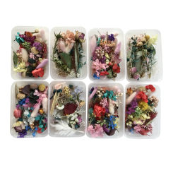 Natural Dried Flower Kit Pressed Artwork Handcrafts Leaves Herb DIY Dry Plants Scented Candle Making Craft For Home Decor Gifts
