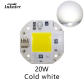 Cold White 20w