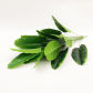 80cm 18Leaves Green