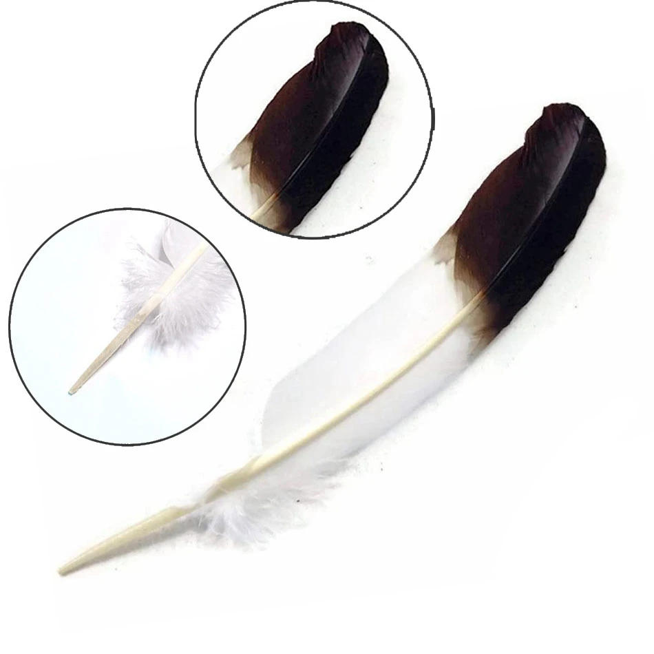 Description Picture 4 of item10Pcs Natural Plume White Black Turkey Feathers for Crafts Home DIY Feather Party Wedding Decoration Accessories 25-30cm