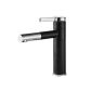 Black Chrome Faucet