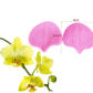 2PCS Floral Molds