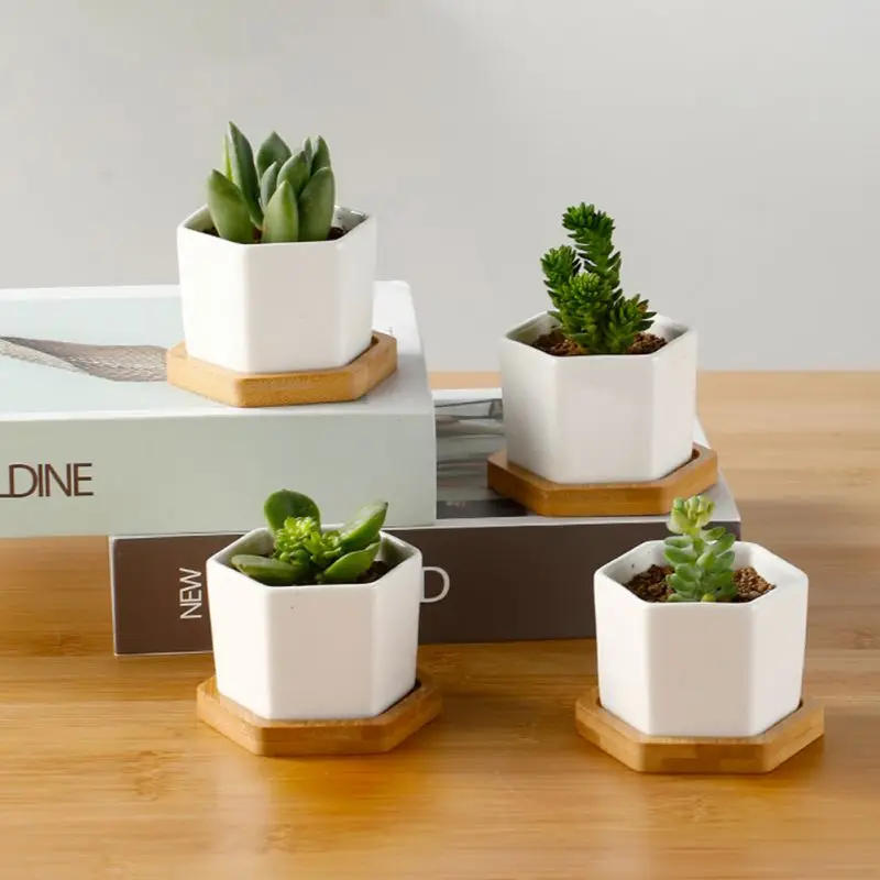 Description Picture 3 of itemGeometic White Ceramic Square Bonsai Planter Little Succulent Flower Pots Modern Small Cactus Flowerpot Bamboo Tray