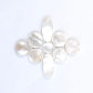 White shell
