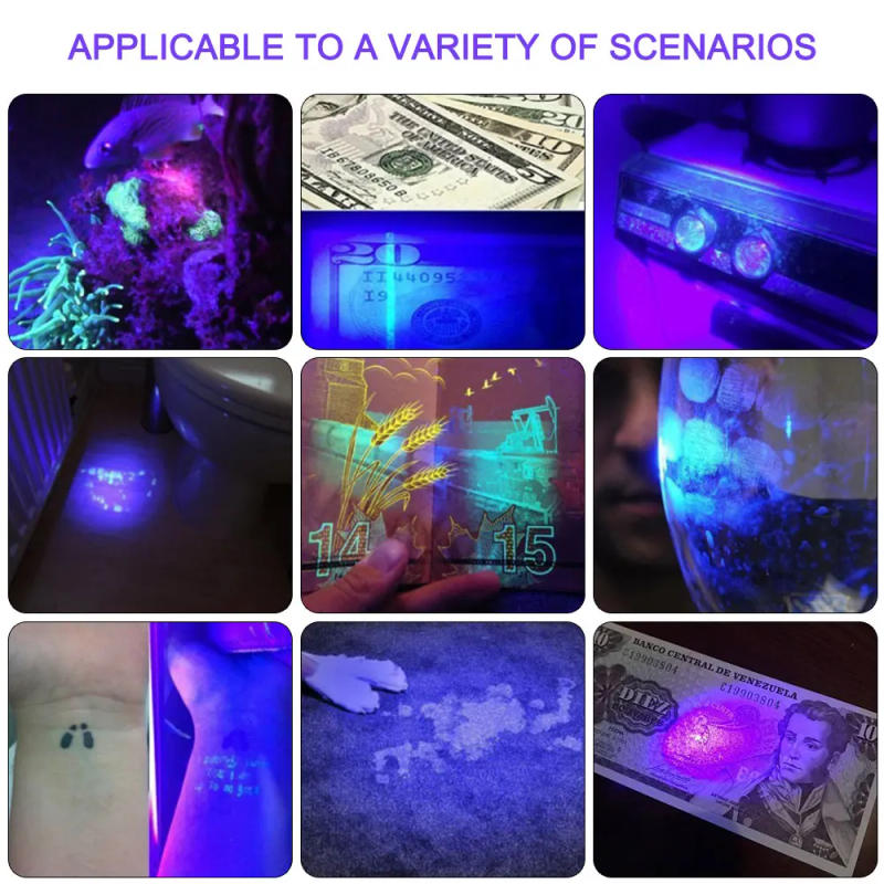 Description Picture 6 of itemPowerful USB Rechargeable Headlamp 395nm UV Light LED Zoom Headlight Flashlight Waterproof Front Head Lamp For Camping Hunting