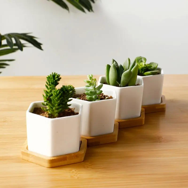 Description Picture 2 of itemGeometic White Ceramic Square Bonsai Planter Little Succulent Flower Pots Modern Small Cactus Flowerpot Bamboo Tray