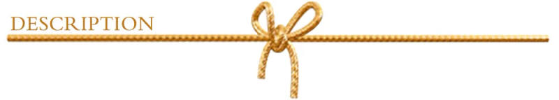 Description Picture 2 of item3D Mirror Car Stickers Cat Dog Footprint Puppy Claw Footprint Sticker Windshield Decals Bumper Car Window Door Decals 2Pcs