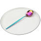 Rainbow Dinner Spoon