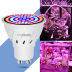 Slide image bb2649700d204980a2a9084e768cc33d