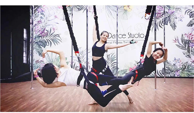 Description Picture 3 of itemBungee Dance Flying Suspension Rope Aerial Anti-gravity Yoga Cord Resistance Band Set Workout Fitness Home GYM Equipment
