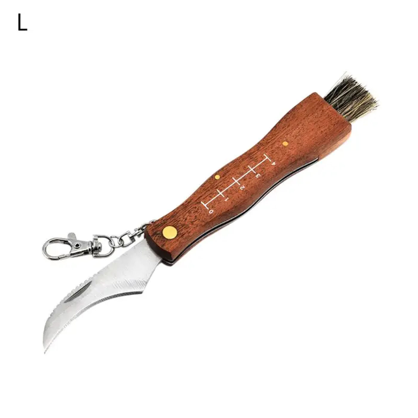 Description Picture 4 of itemMini Camping Mushroom Knife Rosewood Handle Outdoor Hunting Survival Multifunction Folding Self-defense Hand Tools