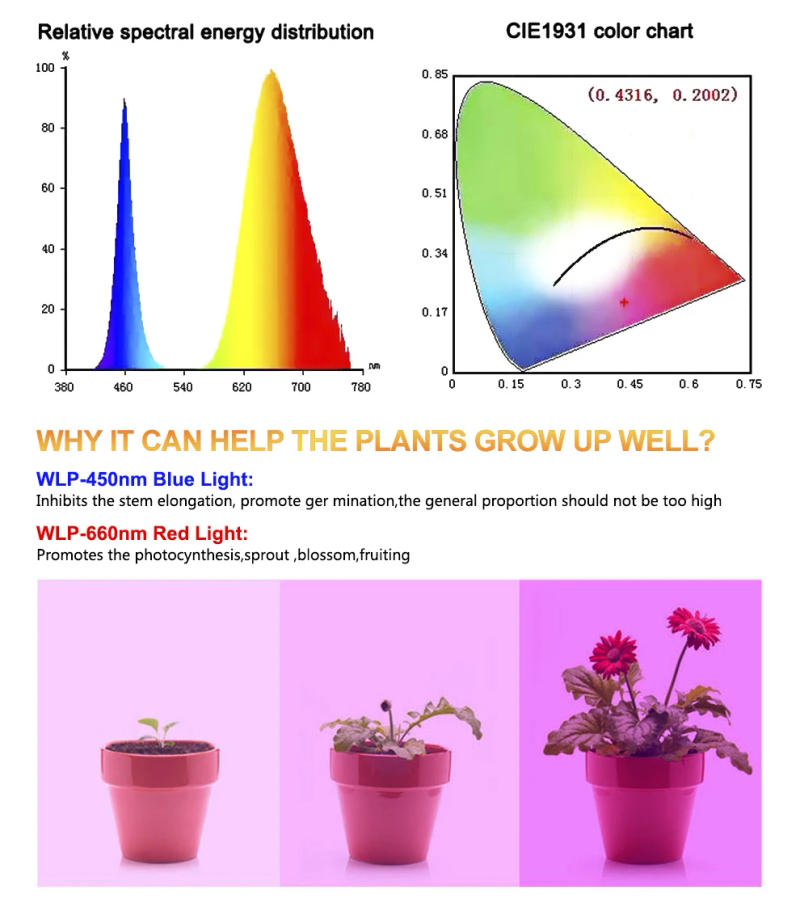 Description Picture 4 of itemRed Blue Light LED Plant Grow Lamp E27 Full Spectrum 110V 220V 500W Hydroponic Greenhouse Growth Tent Light IP65 Deformable Bulb
