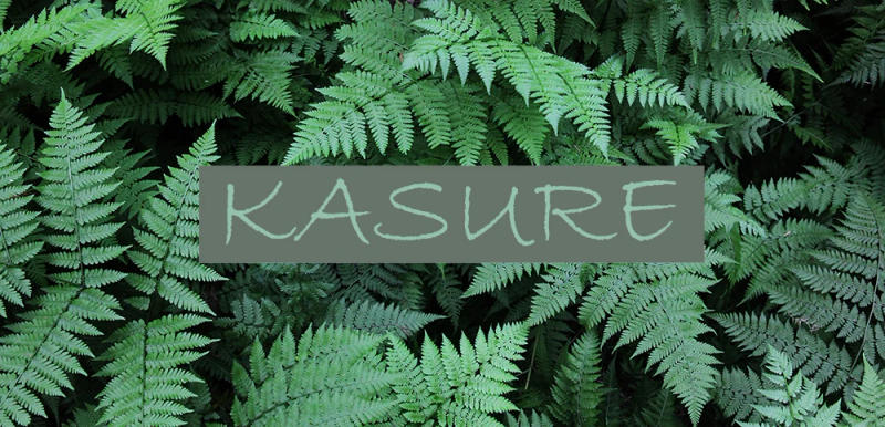 Description Picture 2 of itemKASURE Woman Sexy Tights With Patterned Tattoos Pantyhose Inscriptions Flocking Letter Nylon Tights Women New Hose Popsocket