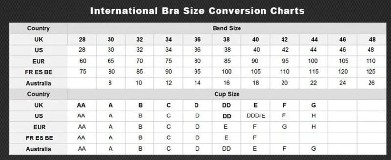 Description Picture 2 of item5 Colors French fashion Lavender black bra women wire free Big Bust 75 80 85 90 95 100 B C D cup bralette push up tops bh C07
