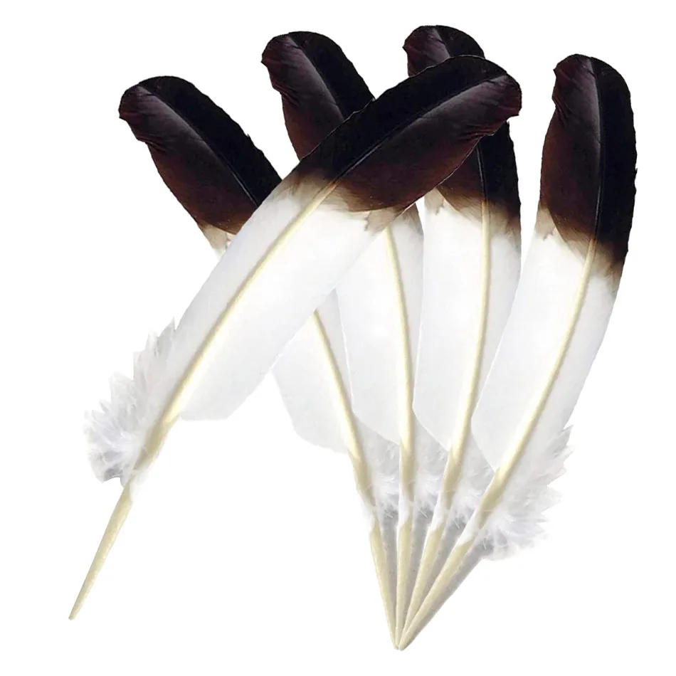Description Picture 6 of item10Pcs Natural Plume White Black Turkey Feathers for Crafts Home DIY Feather Party Wedding Decoration Accessories 25-30cm