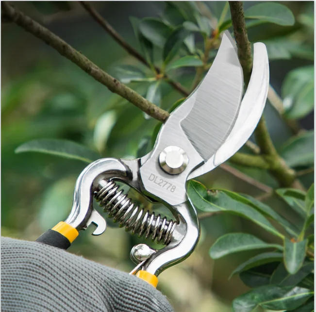 Description Picture 3 of itemDeli Tools Garden Tree Branch Shears Professional Secateur Pruning Shears Tree Clippers for Tree Branches